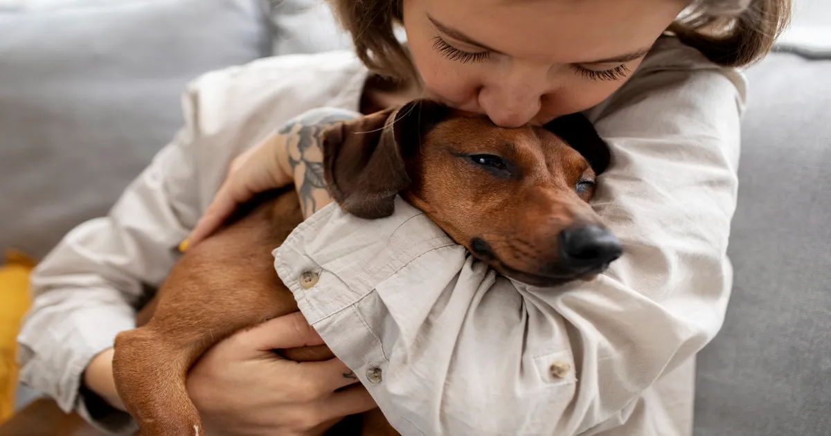 Pet sitter ou creche para pets: qual escolher?