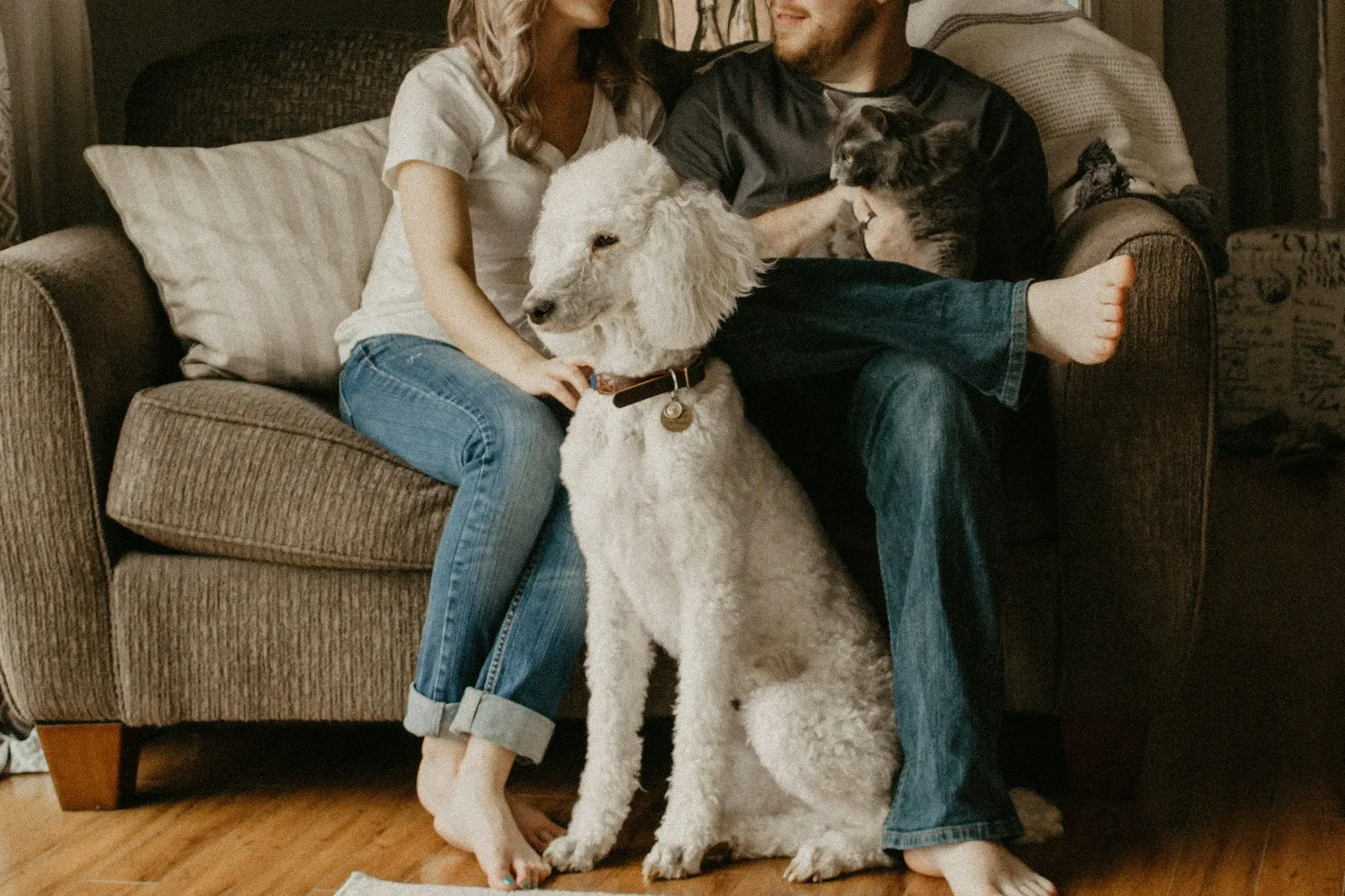 Cuidador de Pets: O Profissional Essencial na Era Pet-Friendly